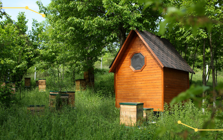 Апитерапия, 2 часа в день или 8 часов в ночное время.