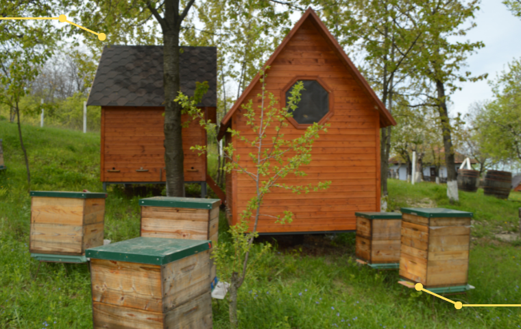 Абонемент на апитерапию, 2 часа в день в течение 10 дней.